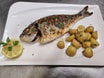 Dorade vom Grill